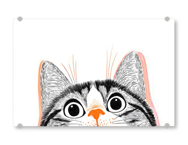 Acrylglasbild "Katzen Augenblick" artboxONE - Tiere,Comic,Abstrakt,Lustig