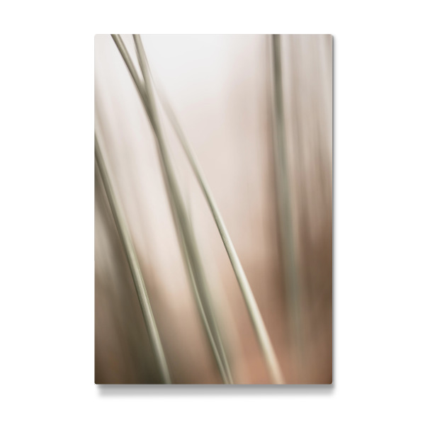Galerie-Print "Binsen abstrakt" 30x20 cm artboxONE