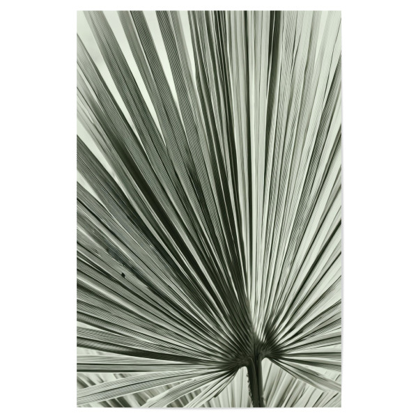 Poster "Palmblattkunst" artboxONE - Natur,Floral