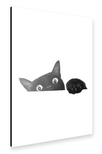 Alu-Dibond "Süße schwarze Katze" 75x50 cm artboxONE