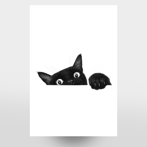 Cute black cat