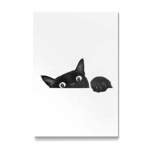 Cute black cat