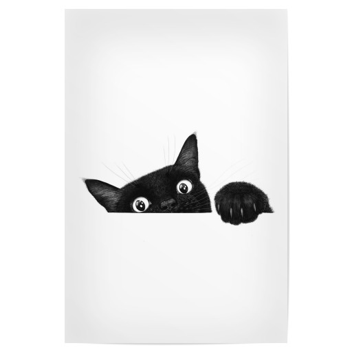 Cute black cat