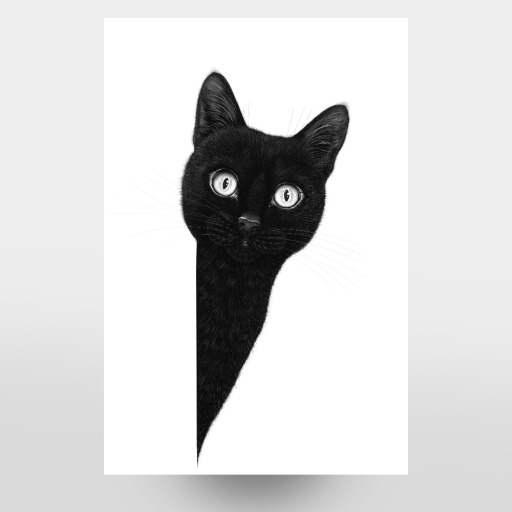 Curious black cat
