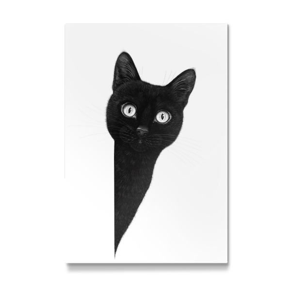 Galerie-Print "Neugierige schwarze Katze" 30x20 cm artboxONE
