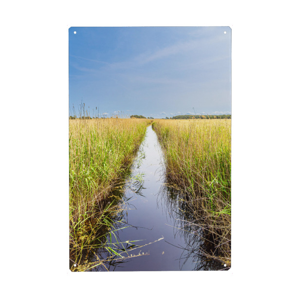 Holzbild "Graben mit Schilf" artboxONE - Natur,Reise