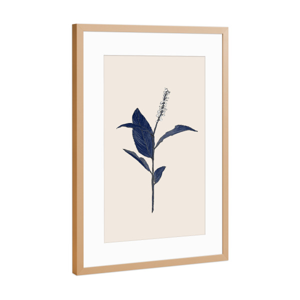 Poster mit Rahmen Kupfer "Danushka - Botanical B" artboxONE - Natur,Floral - Natur,Blume,Blatt,Canna,Blüte,Botanik