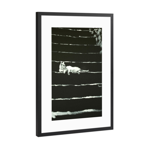 Poster mit Rahmen Schwarz (Metallic) "Katze auf Treppen" artboxONE - Tiere - Katze,Sumie,Treppe,Japan