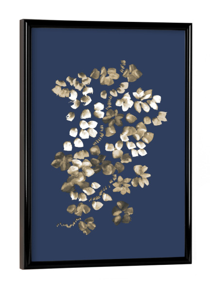 Poster mit schwarzem Rahmen "Danushka - Blossoms on a Vine B" artboxONE - Natur,Floral - Blüte,Botanik,Natur,Sommer,Frühling,Aquarell