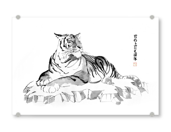 Acrylglasbild "Ishi no ue nimo san nen" artboxONE - Tiere,Schwarzweiß,Reise / Asien - Tiger,Sumie,Stein,Japan,Tier
