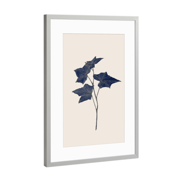 Poster mit Rahmen Silber "Danushka - Botanical C" artboxONE - Natur,Floral - Aquarell,Maritim,Wasserfarbe,Gemälde,Kunst,Blatt,Natur,Baum,Ahorn