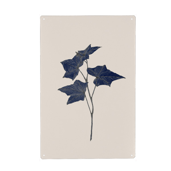 Holzbild "Danushka - Botanical C" artboxONE - Natur,Floral - Aquarell,Maritim,Wasserfarbe,Gemälde,Kunst,Blatt,Natur,Baum,Ahorn