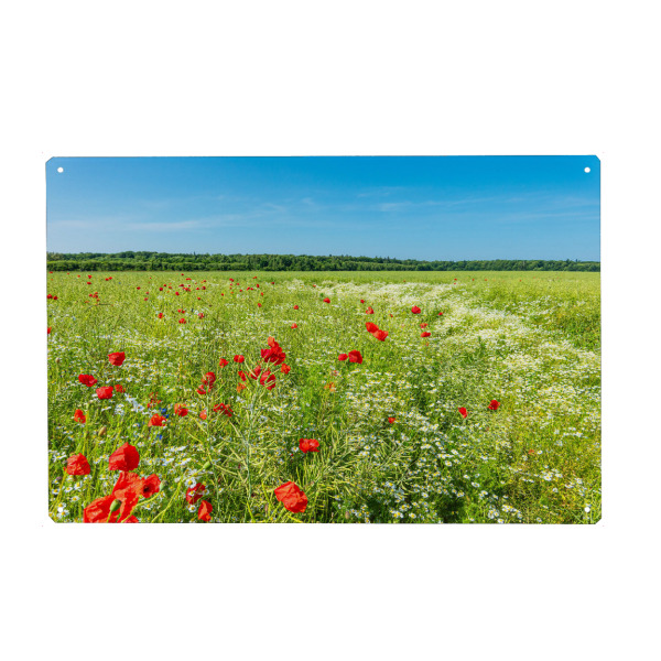 Holzbild "Raps und Mohnblumen" artboxONE - Natur,Reise