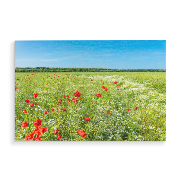 Holzbild "Raps und Mohnblumen" artboxONE - Natur,Reise