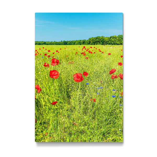 Galerie-Print "Mohnblumen im Rapsfeld" 30x20 cm artboxONE