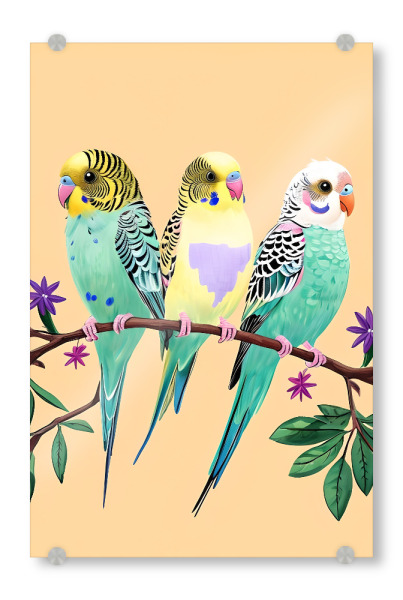 Acrylglasbild "Three Colorful Budgies on a Branch" artboxONE - Tiere,Abstrakt