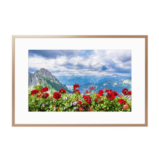 Mountain view with flowers