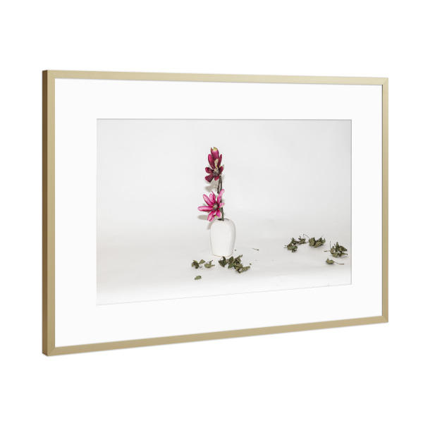 Poster mit Rahmen Gold "Blühen und Trocken" artboxONE - Natur - Stillleben,Stille,Zeichnung,Blume,Blätter