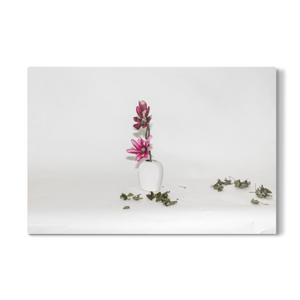 Galerie-Print "Blühen und Trocken" 75x50 cm artboxONE