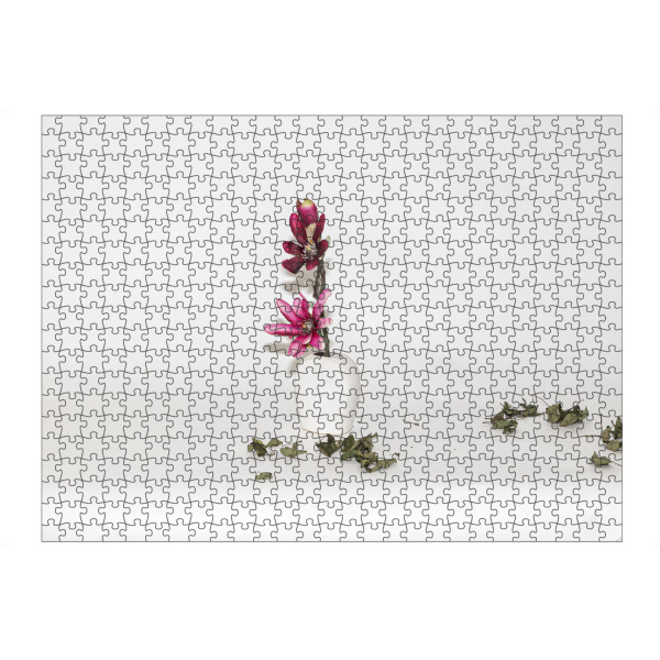 Puzzle Ravensburger "Blühen und Trocken" artboxONE - Natur - Stillleben,Stille,Zeichnung,Blume,Blätter - Bild stillleben