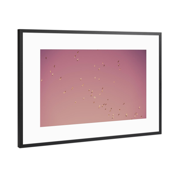 Poster mit Rahmen Schwarz (Metallic) "Golf von Eilat (2)" artboxONE - Natur,Für Kinder,Tiere,Reise / Länder,Für Mama