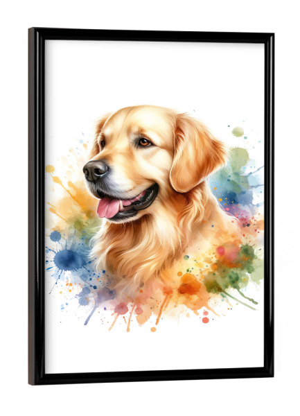 Poster mit schwarzem Rahmen "Golden Retriever Aquarell" artboxONE - Tiere