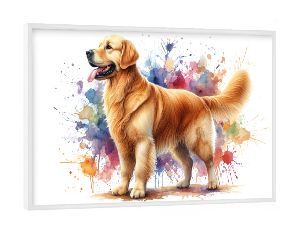 Poster mit weißem Rahmen "Golden Retriever Aquarell b" artboxONE - Tiere,Abstrakt