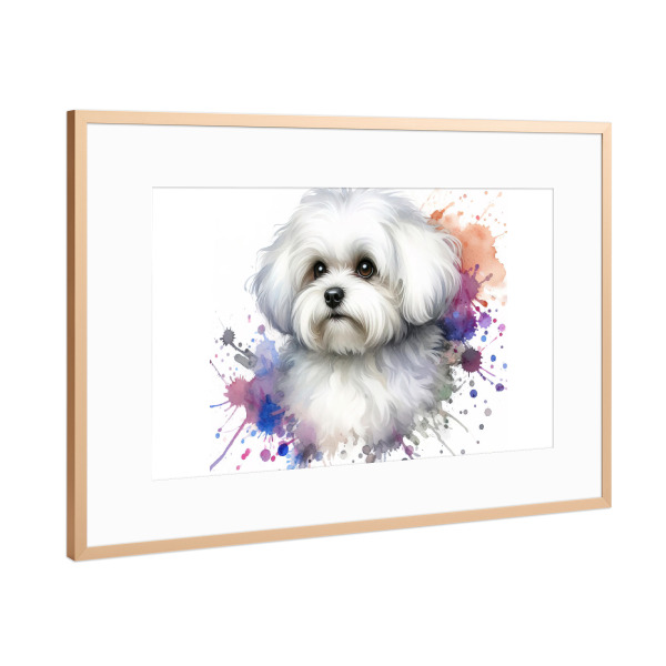 Poster mit Rahmen Kupfer "Maltesischer Bichon in Aquarell" artboxONE - Tiere,Abstrakt