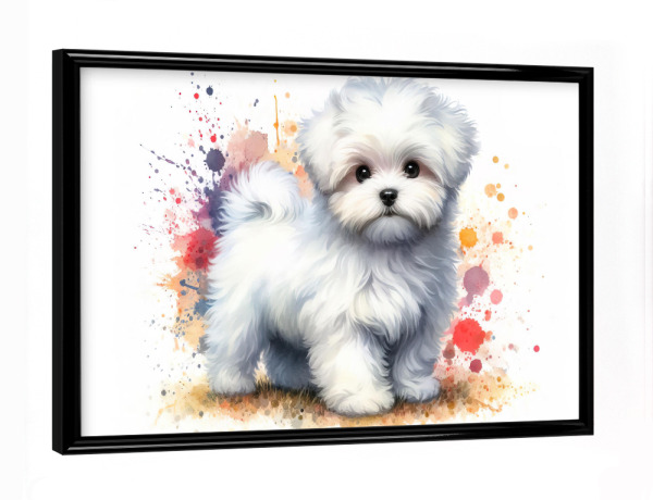 Poster mit schwarzem Rahmen "Maltesischer Bichon in Aquarell B" artboxONE - Tiere,Abstrakt