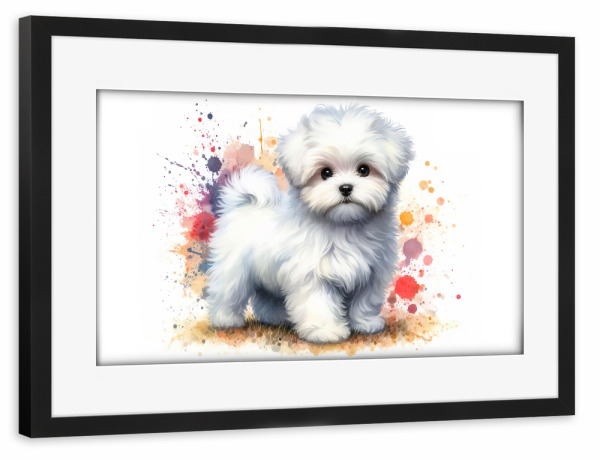 Poster mit Rahmen schwarz "Maltesischer Bichon in Aquarell B" artboxONE - Tiere,Abstrakt