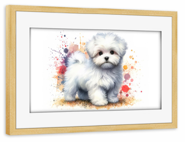 Poster mit Rahmen kiefer "Maltesischer Bichon in Aquarell B" artboxONE - Tiere,Abstrakt