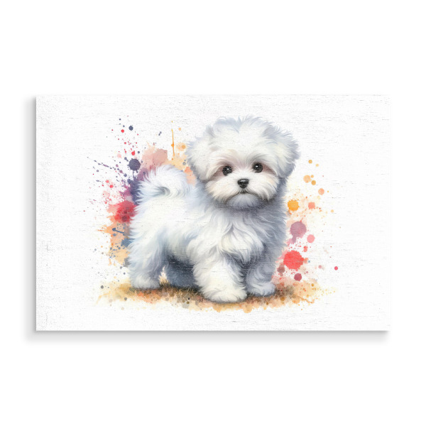 Holzbild "Maltesischer Bichon in Aquarell B" artboxONE - Tiere,Abstrakt