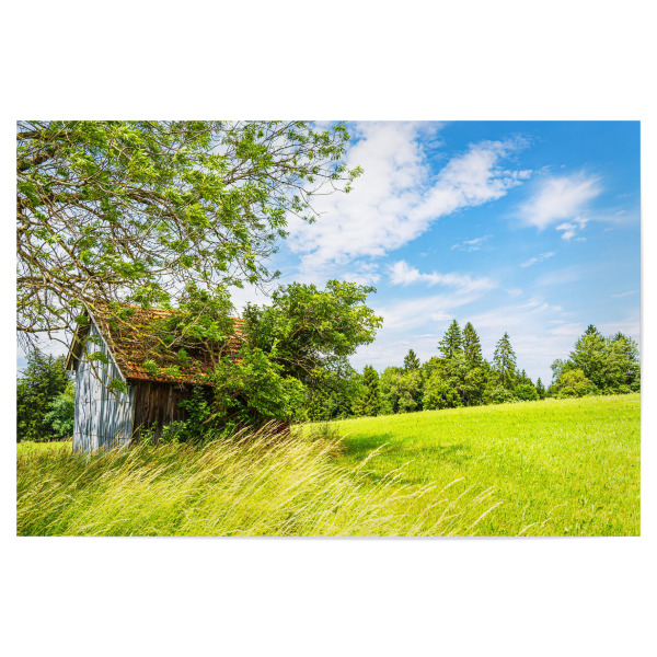 Poster 30x20 cm "Holzhütte und Bergwiese" artboxONE - Natur,Reise,Architektur