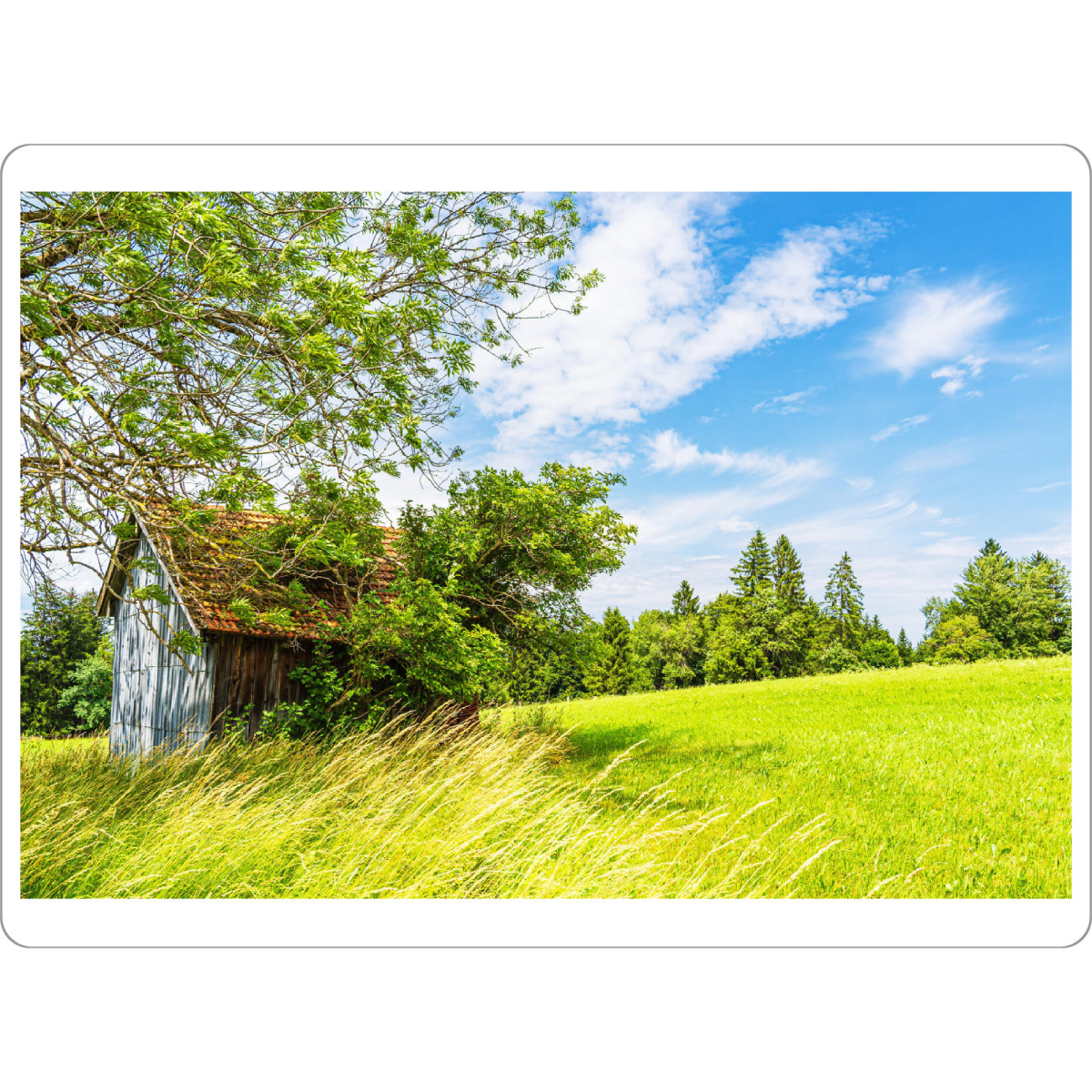 Tischset "Holzhütte und Bergwiese" artboxONE - Natur,Reise,Architektur