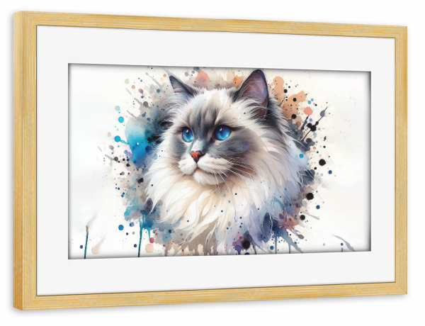 Poster mit Rahmen kiefer "Aquarell Ragdoll Cat B" artboxONE - Tiere,Abstrakt