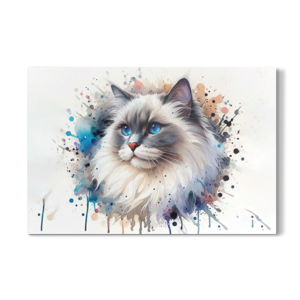 Galerie-Print "Aquarell Ragdoll Cat B" 75x50 cm artboxONE