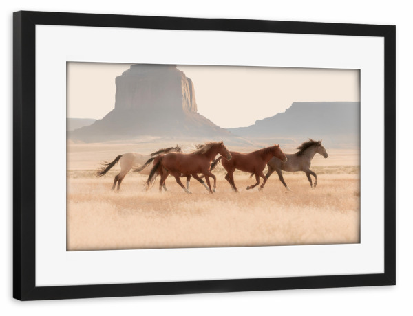 Poster mit Rahmen schwarz "Südwestliche Pferde" artboxONE - Natur,Für Kinder,Tiere,Für Mama,Für Papa