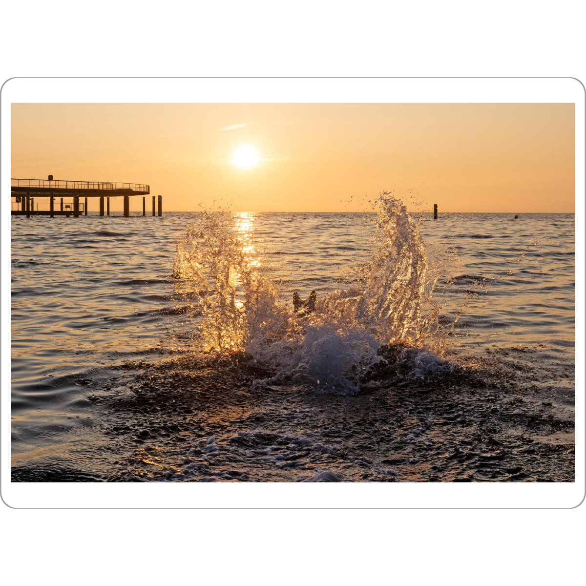 Tischset "Spaß an der Ostsee" artboxONE - Natur,Tiere,Reise / Strand und Meer - Ostsee,Strand,Hund,Wasserspritzer,Sonnenaufgang - Bild ostsee