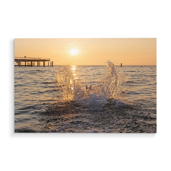 Holzbild "Spaß an der Ostsee" artboxONE - Natur,Tiere,Reise / Strand und Meer - Ostsee,Strand,Hund,Wasserspritzer,Sonnenaufgang