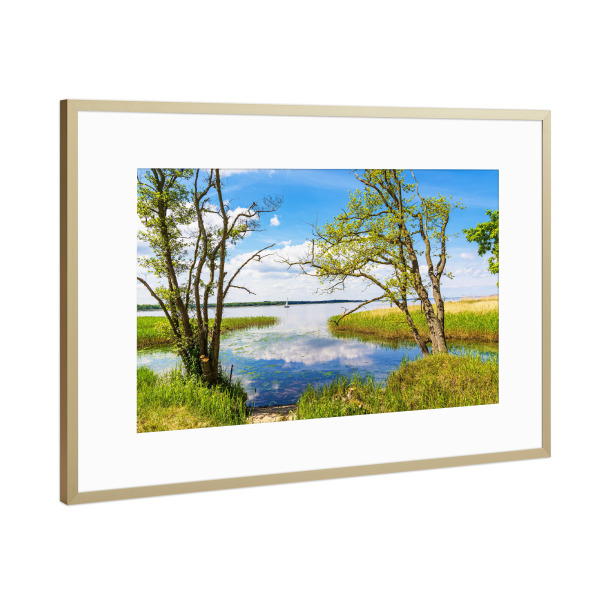 Poster mit Rahmen Gold "Achterwasser bei Warthe" artboxONE - Natur,Reise