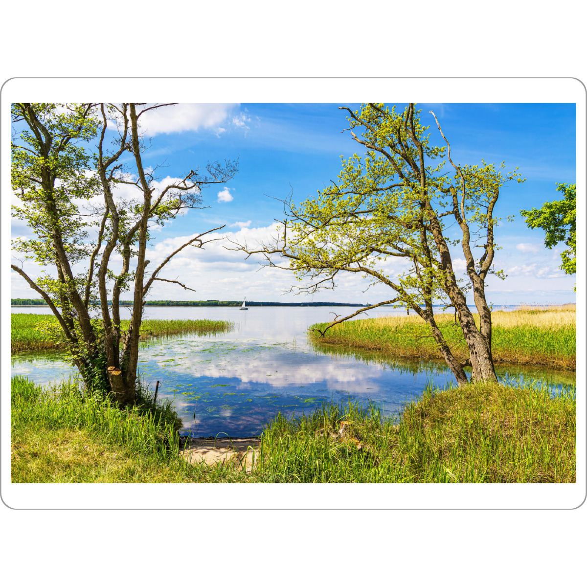 Tischset "Achterwasser bei Warthe" artboxONE - Natur,Reise