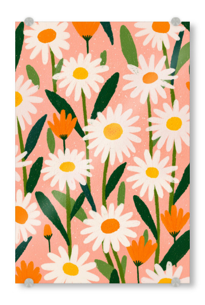 Acrylglasbild "Sommerspaß mit Margeriten" artboxONE - Natur,Floral