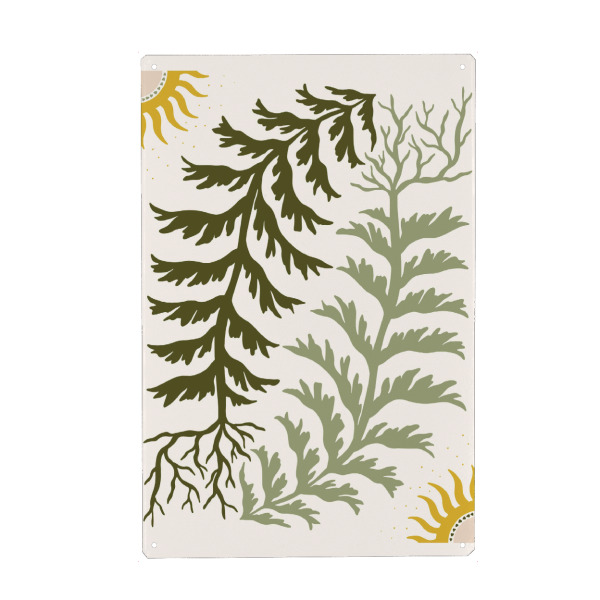 Metall Poster "Sun and Seaweed" artboxONE - Floral,Abstrakt - Abstract botanical,Seaweed illustration,Sun art,Folk art,Nature inspired,Organic design