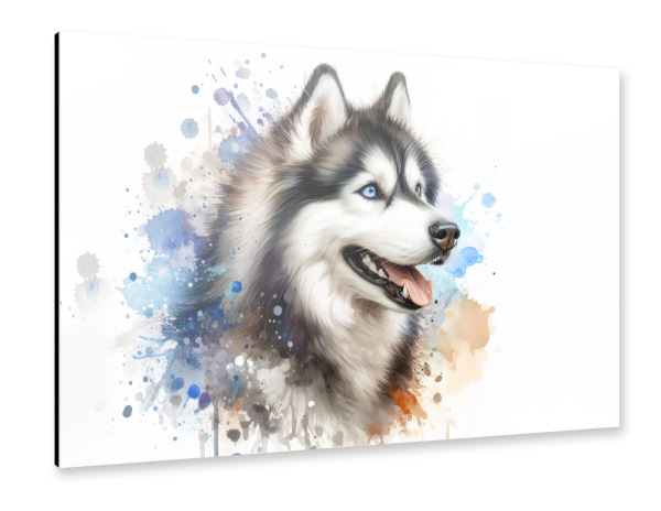 Alu-Dibond "Siberer Husky Hund B" 75x50 cm artboxONE