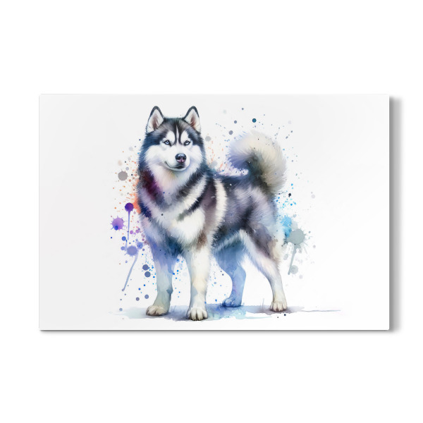 Galerie-Print "Sibirischer Husky -Hund" 30x20 cm artboxONE