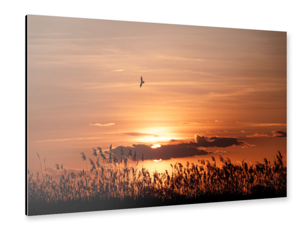 Alu-Dibond "Orange sunset at the lake" 75x50 cm artboxONE