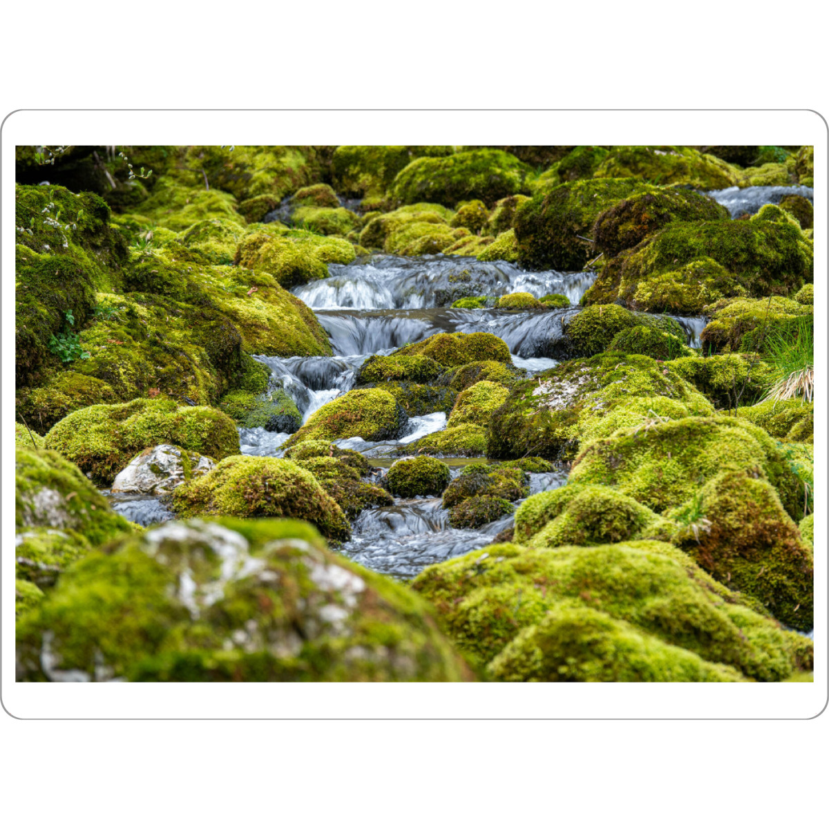 Tischset "Stream und Moossteine" artboxONE - Natur - Moos,Felsen,Bach,Fluss,Wasser,Grün,Natur,Moos,Natur im freien - Bild moos