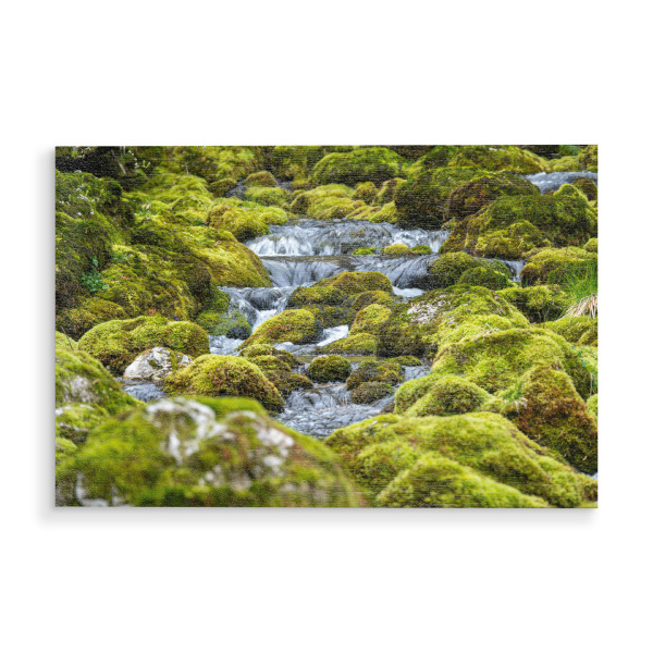 Holzbild "Stream und Moossteine" artboxONE - Natur - Moos,Felsen,Bach,Fluss,Wasser,Grün,Natur,Moos,Natur im freien