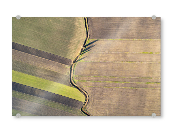 Acrylglasbild "Aerial view of Agricultural fields" artboxONE - Natur