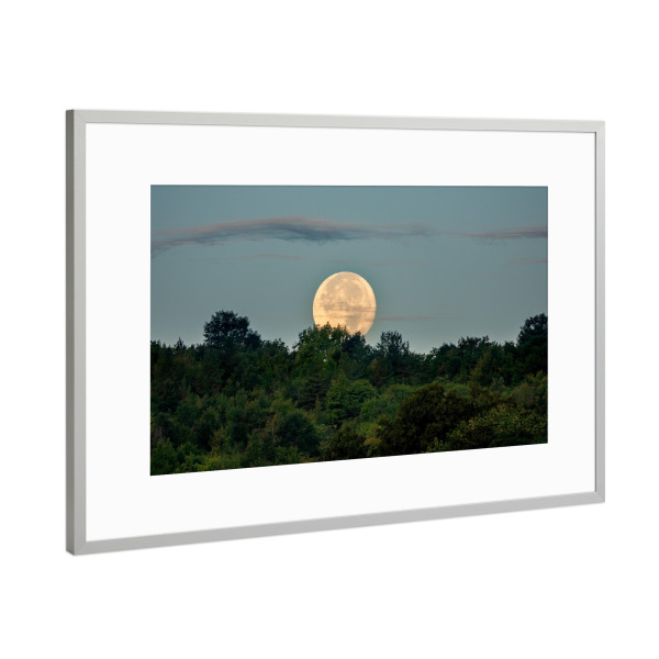 Poster mit Rahmen Silber "Vollmond steigt" artboxONE - Natur - Aufstieg,Mond,Voll,Vollständig,Natur,Orange,Grün,Wald,Oben,Sommer,Niedrig